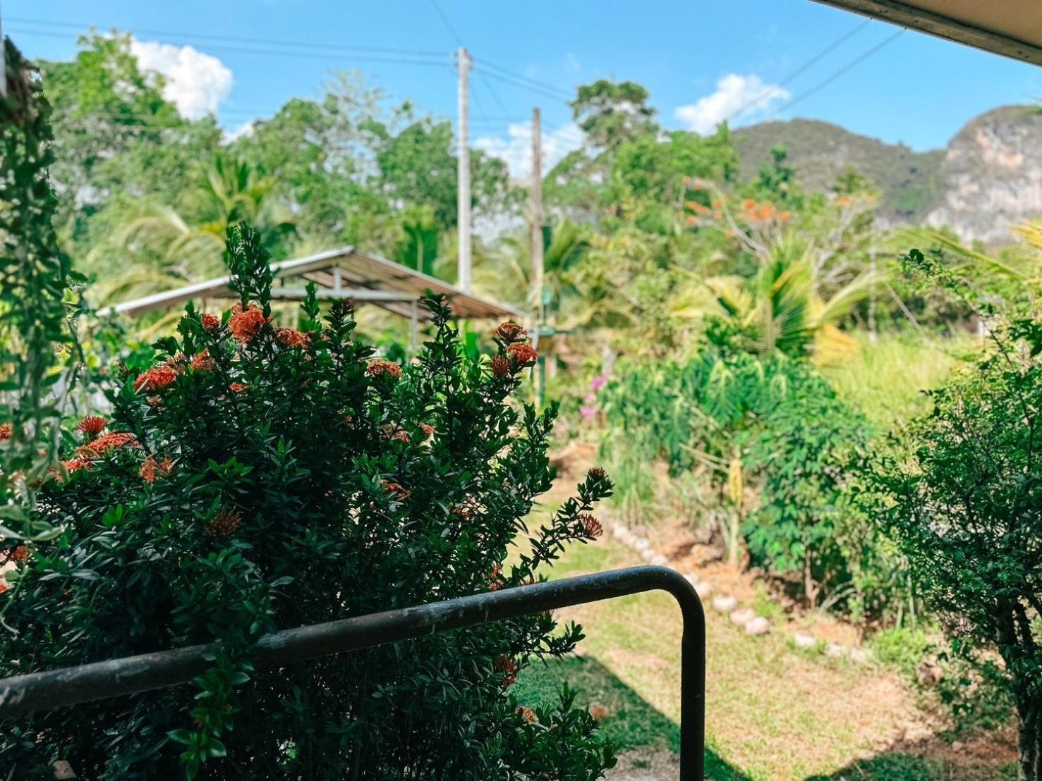 Ao Luek Homie Homestay Krabi Luaran gambar